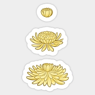 Flowers of the Four Seasons - Chrysanthemum Sticker